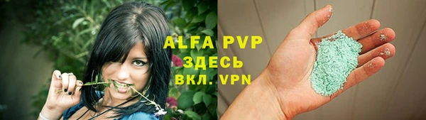стафф Медногорск