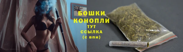 стафф Медногорск