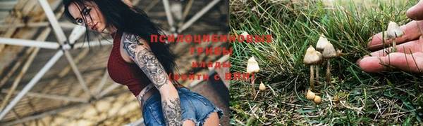 стафф Анива