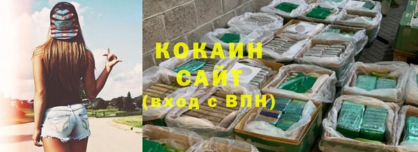 гашик Мегион