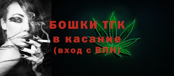 гашик Мегион