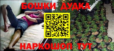 сатива Кинель