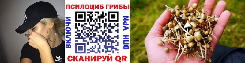 как найти закладки  Лангепас  Галлюциногенные грибы Psilocybine cubensis 