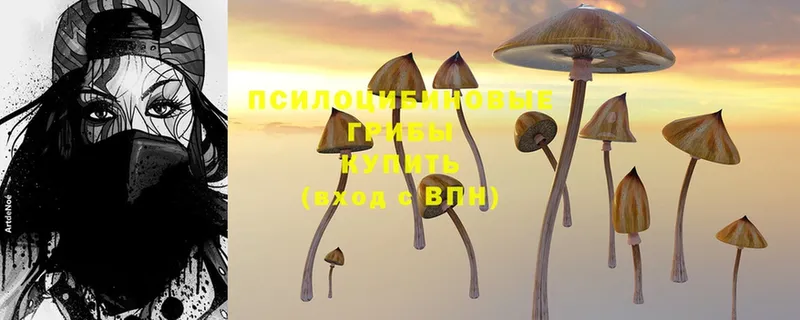 Псилоцибиновые грибы Cubensis Лангепас